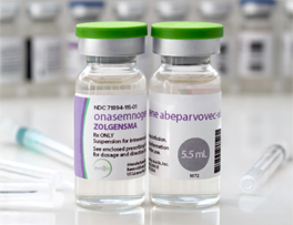 Renovamen-Clients-Draft-2-Zogelsma